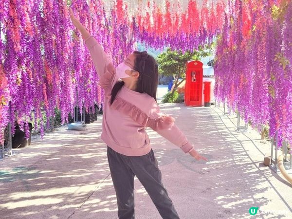 【偽日本之旅: 元朗信芯園農莊】