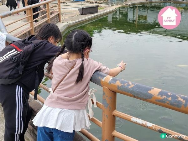 又到摘士多啤梨既季節