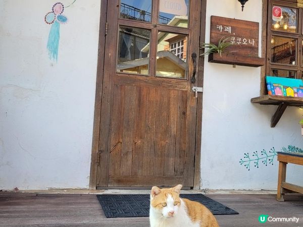 【韓國-坡州】Heyri藝術村|普羅旺斯村|烏頭山統一展望台