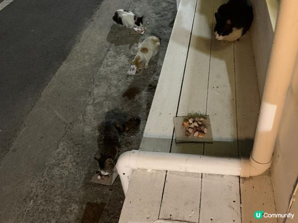 【韓國-濟州】4日3夜(一)彩虹海岸道路|必吃解酒湯|海邊民宿|挾才海邊