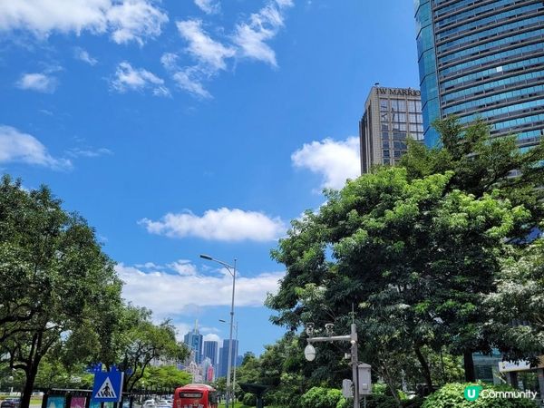 《環迴深圳》Buffet 任食即劏大拖羅 X 旺中帶靜 X 中餐星級水準 @ 深圳金茂JW萬豪酒店