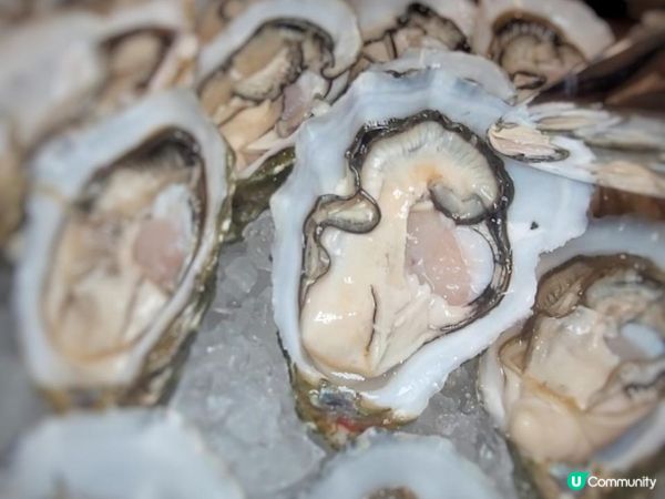 載譽重來 X 殿堂級陣容 @ 快船廊 ( 中環文華東方酒店 )