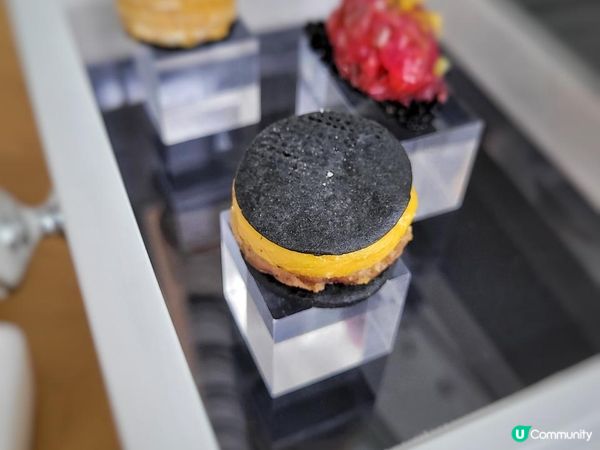 《環迴深圳》精彩聯動 貓之藝章 世界經典原版音樂劇《貓》聯名主題下午茶 @ The Lounge ( 深圳中洲萬豪酒店 )