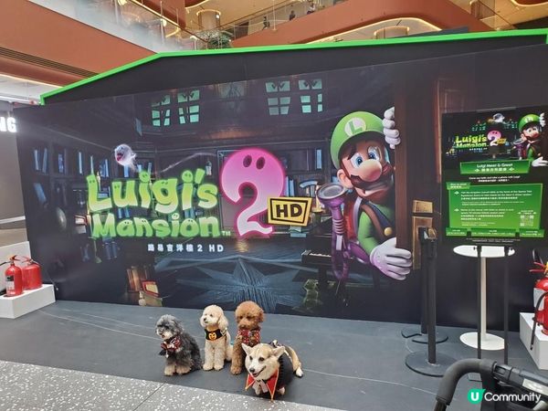 《任天堂遊戲角色路易吉現身 AIRSIDE》