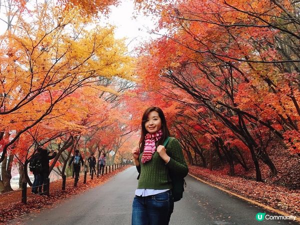 韓國賞楓 - 內藏山