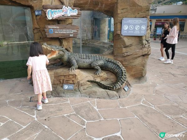 《精彩推介 : 海洋公園門外之鱷魚館》