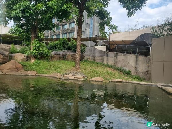 《精彩推介 : 海洋公園門外之鱷魚館》