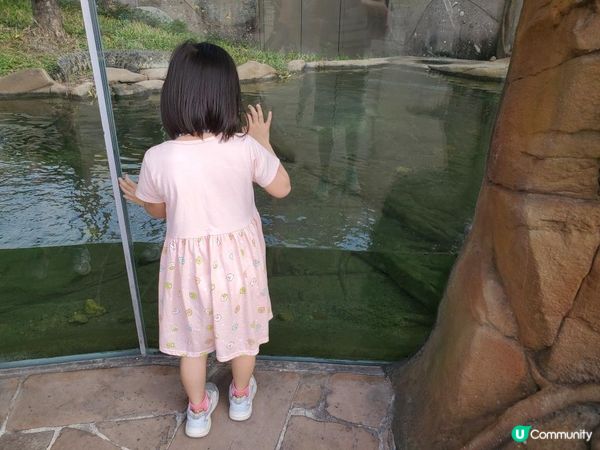 《精彩推介 : 海洋公園門外之鱷魚館》