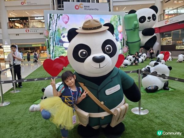 《富富熊貓登陸信和集團四大商場 🐼》