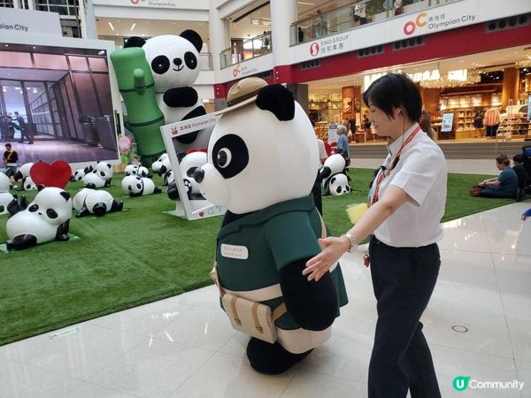 《富富熊貓登陸信和集團四大商場 🐼》