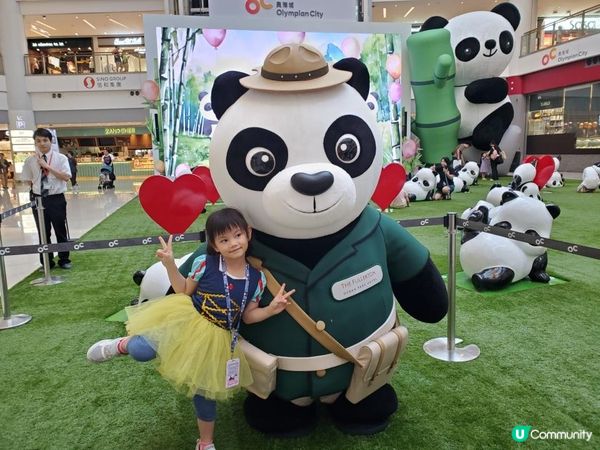 《富富熊貓登陸信和集團四大商場 🐼》