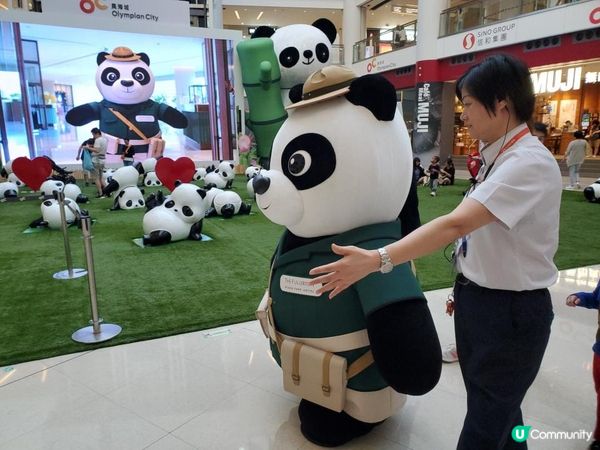 《富富熊貓登陸信和集團四大商場 🐼》