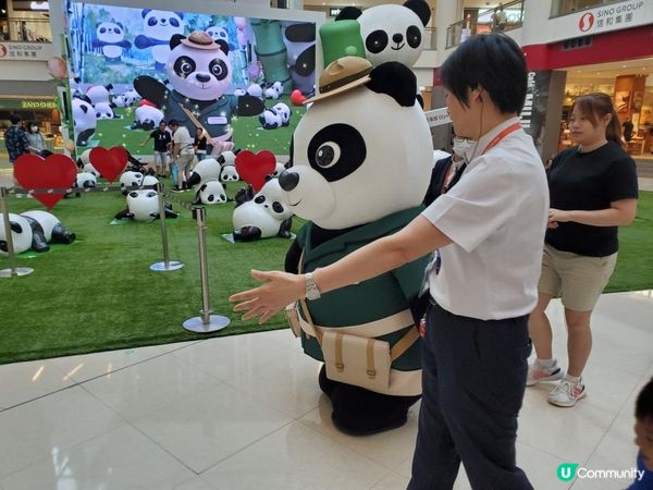 《富富熊貓登陸信和集團四大商場 🐼》
