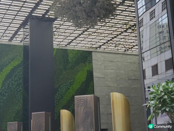 《識條鐵咩？系列之倒吊樹🌳》