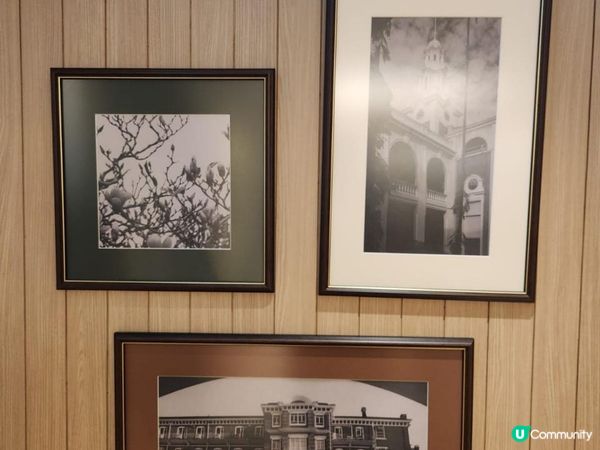 《名不虛傳 : 香港大學校友會》