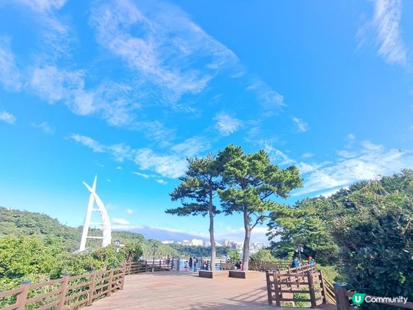濟洲島柱狀節理帶🏞️天帝淵瀑布📸鳥島新緣橋🌁龍淵峽谷👣熱門打卡景點介紹👍