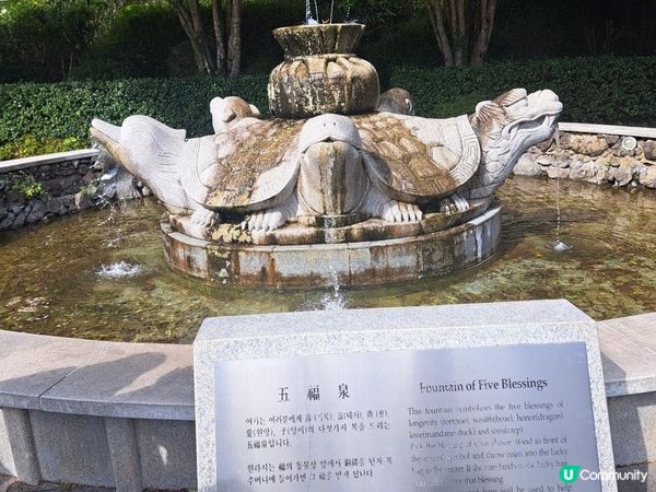 濟洲島柱狀節理帶🏞️天帝淵瀑布📸鳥島新緣橋🌁龍淵峽谷👣熱門打卡景點介紹👍