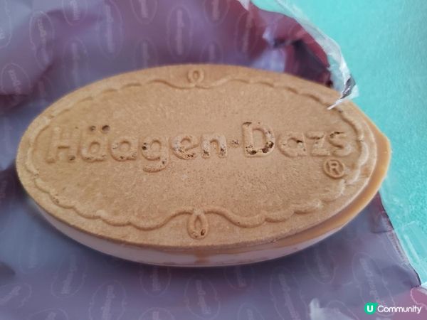 《請您食 : 日本版哈根大師雪糕三文治》