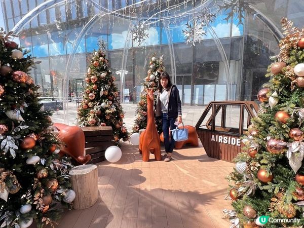 《打卡必到 : AIRSIDE圓頂花園》