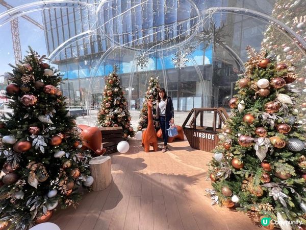 《打卡必到 : AIRSIDE圓頂花園》