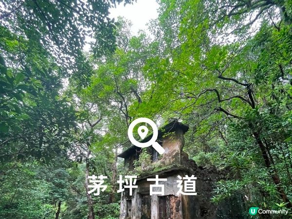 一條啱新手行山嘅路線—芧坪古道（更新)