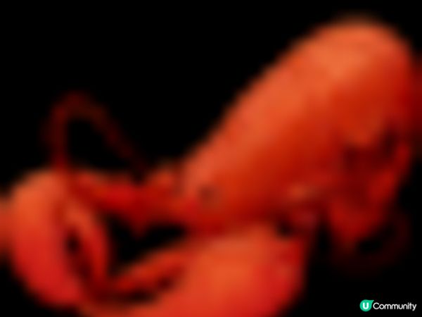 【沖繩美食】沖繩下機第一站必吃美食：系滿魚市場，邊聽音樂邊吃