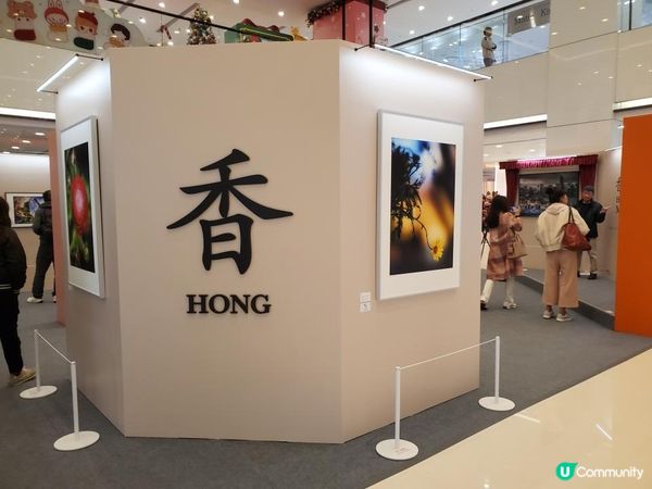 《現場直擊 : 「香港 · 晨」慈善攝影展》