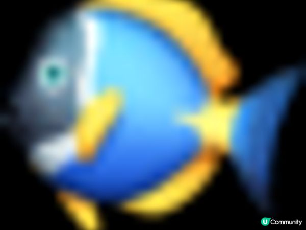 沖繩DMM Kariyushi水族館｜離機場最近的水族館｜小