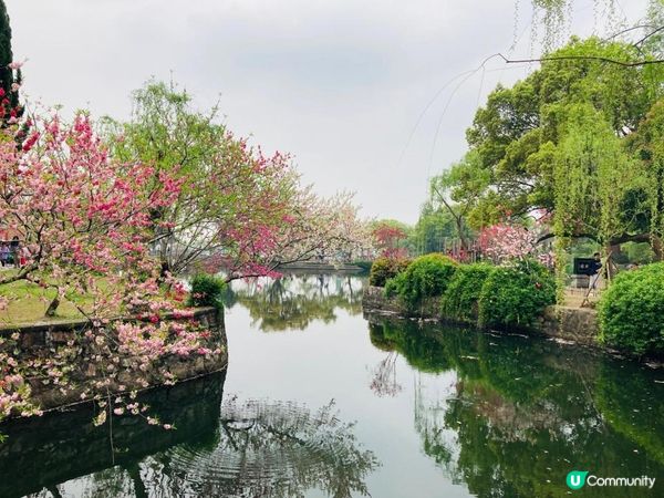 2023年復活節的上海無錫之旅 - 桃之夭夭，灼灼其華 (無錫蠡園、蠡湖公園)