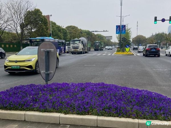 2023年復活節的上海無錫之旅 - 桃之夭夭，灼灼其華 (無錫蠡園、蠡湖公園)