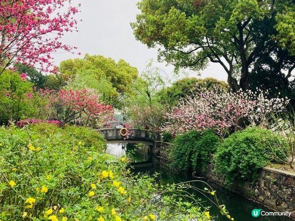 2023年復活節的上海無錫之旅 - 桃之夭夭，灼灼其華 (無錫蠡園、蠡湖公園)