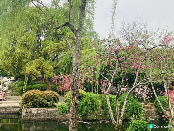 2023年復活節的上海無錫之旅 - 桃之夭夭，灼灼其華 (無錫蠡園、蠡湖公園)