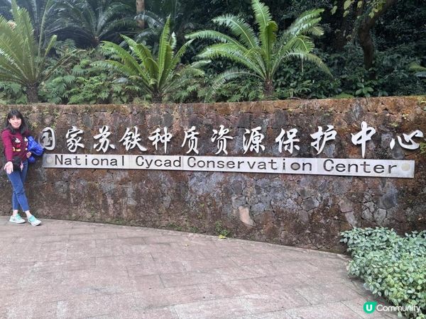 《仙湖植物園 ~ 桫欏湖及弘法寺》