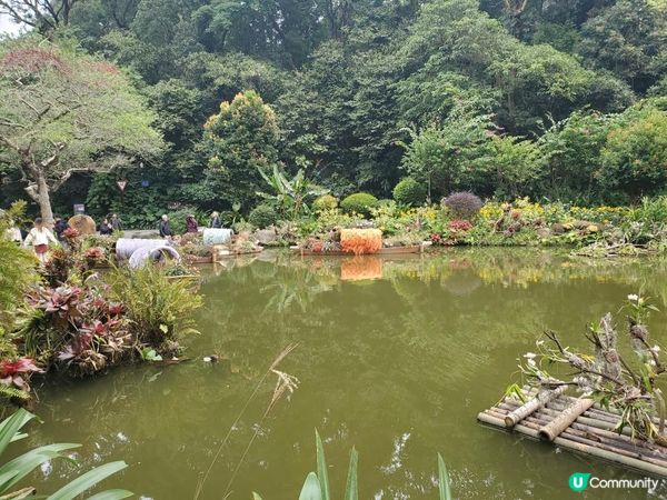 《仙湖植物園 ~ 桫欏湖及弘法寺》