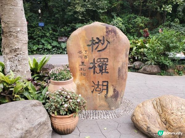 《仙湖植物園 ~ 桫欏湖及弘法寺》