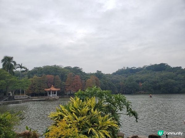 《仙湖植物園 ~ 鄧小平楊尚昆手植樹、天空之鏡》