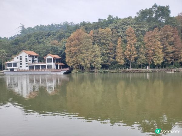 《仙湖植物園 ~ 鄧小平楊尚昆手植樹、天空之鏡》