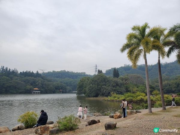 《仙湖植物園 ~ 鄧小平楊尚昆手植樹、天空之鏡》