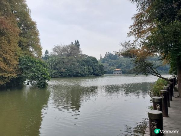《仙湖植物園 ~ 鄧小平楊尚昆手植樹、天空之鏡》
