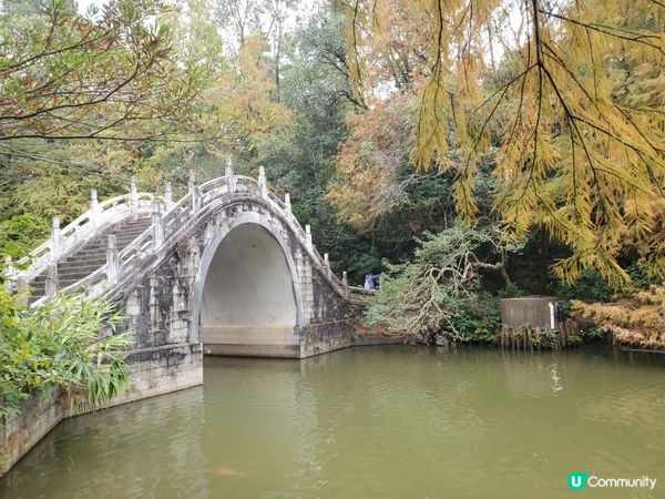 《仙湖植物園 ~ 鄧小平楊尚昆手植樹、天空之鏡》