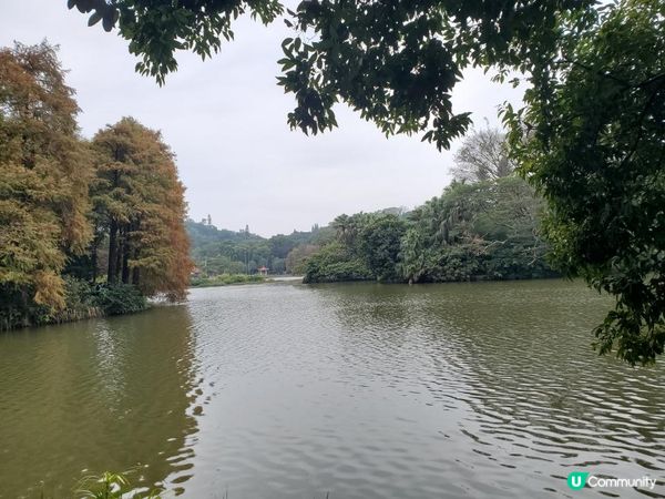 《仙湖植物園 ~ 鄧小平楊尚昆手植樹、天空之鏡》
