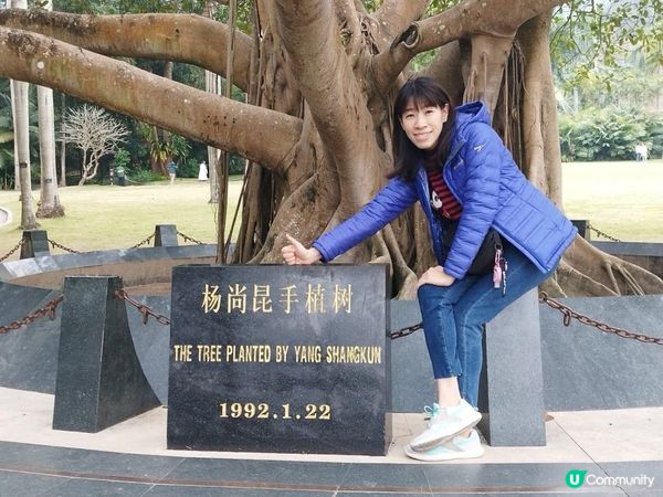 《仙湖植物園 ~ 鄧小平楊尚昆手植樹、天空之鏡》