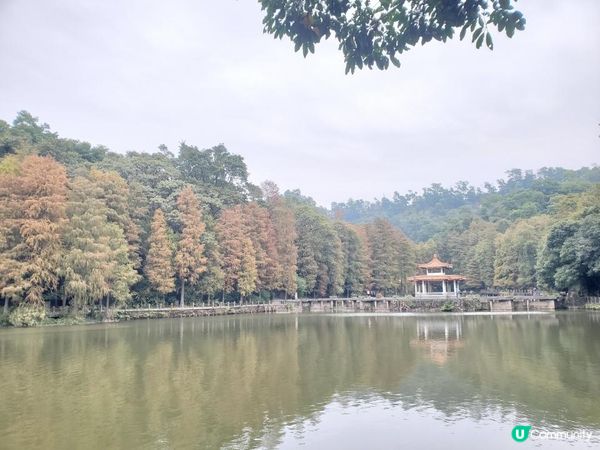 《仙湖植物園 ~ 鄧小平楊尚昆手植樹、天空之鏡》
