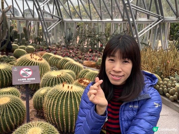 《重點推介 : 仙人掌與多肉園》