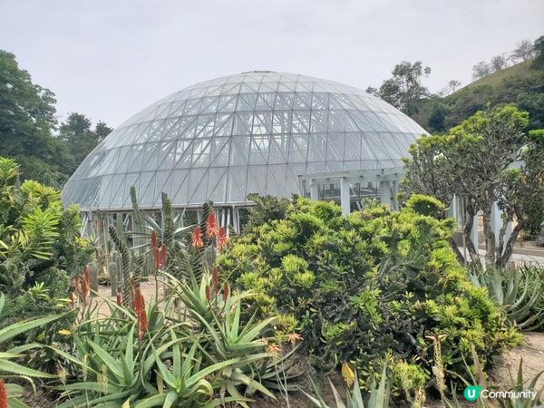 《重點推介 : 仙人掌與多肉園》