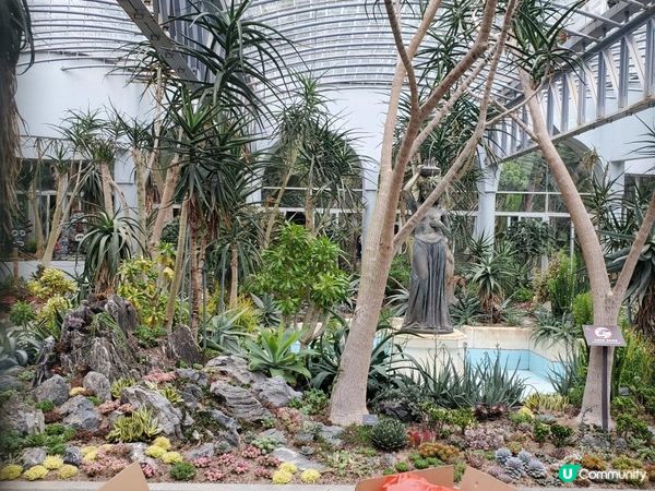 《重點推介 : 仙人掌與多肉園》