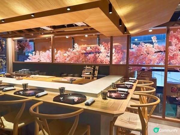 高質必食櫻花雪景Omakase