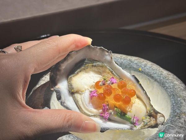 高質必食櫻花雪景Omakase