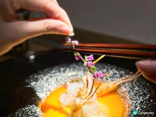 高質必食櫻花雪景Omakase