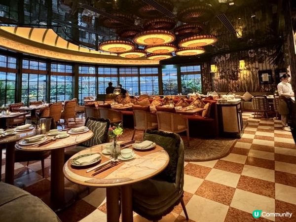 喜出望外的邂逅！